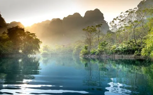 高效智能化